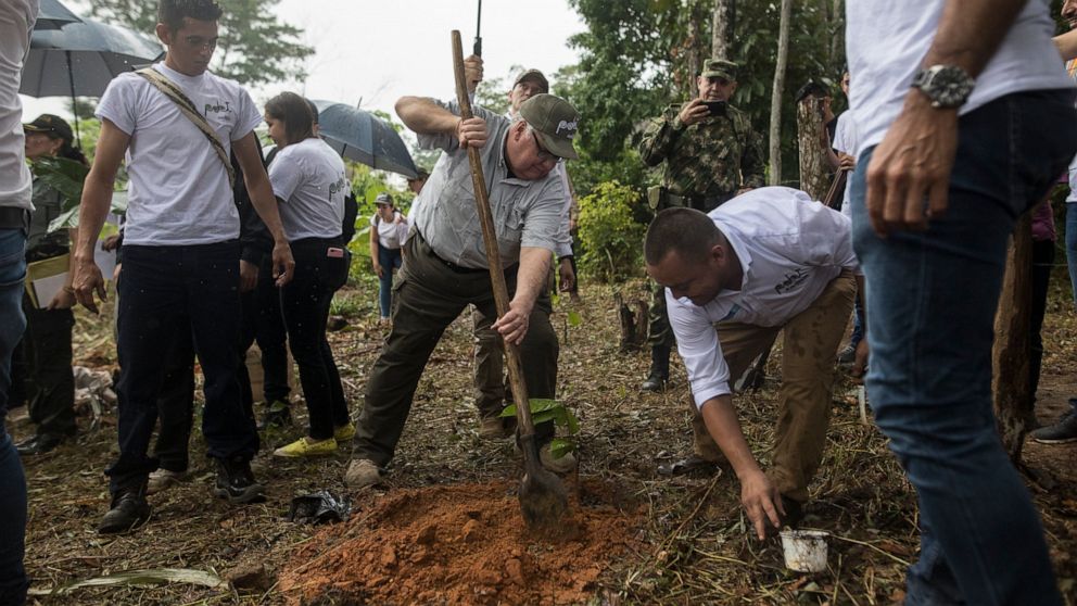 Violence at work Warren Buffett’s son helps Colombia kick cocaine curse